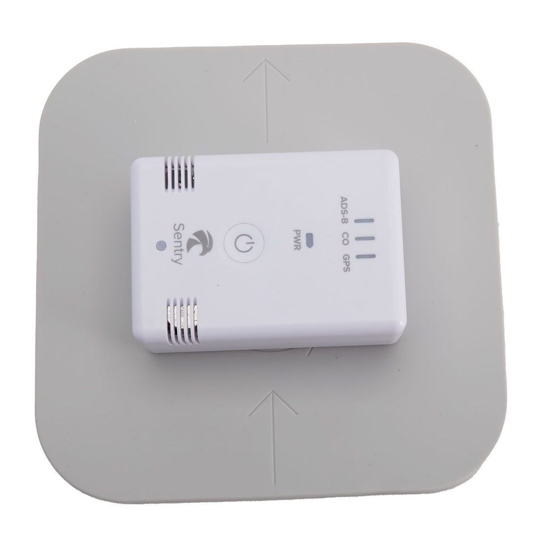 Sentry Dash Mount