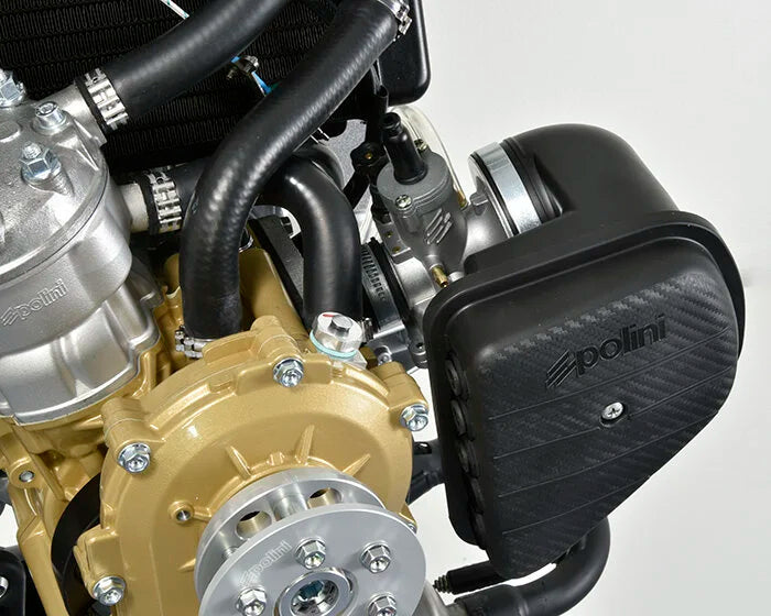 Polini Thor 80 â Lightweight 18 HP Liquid-Cooled Paramotor Engine