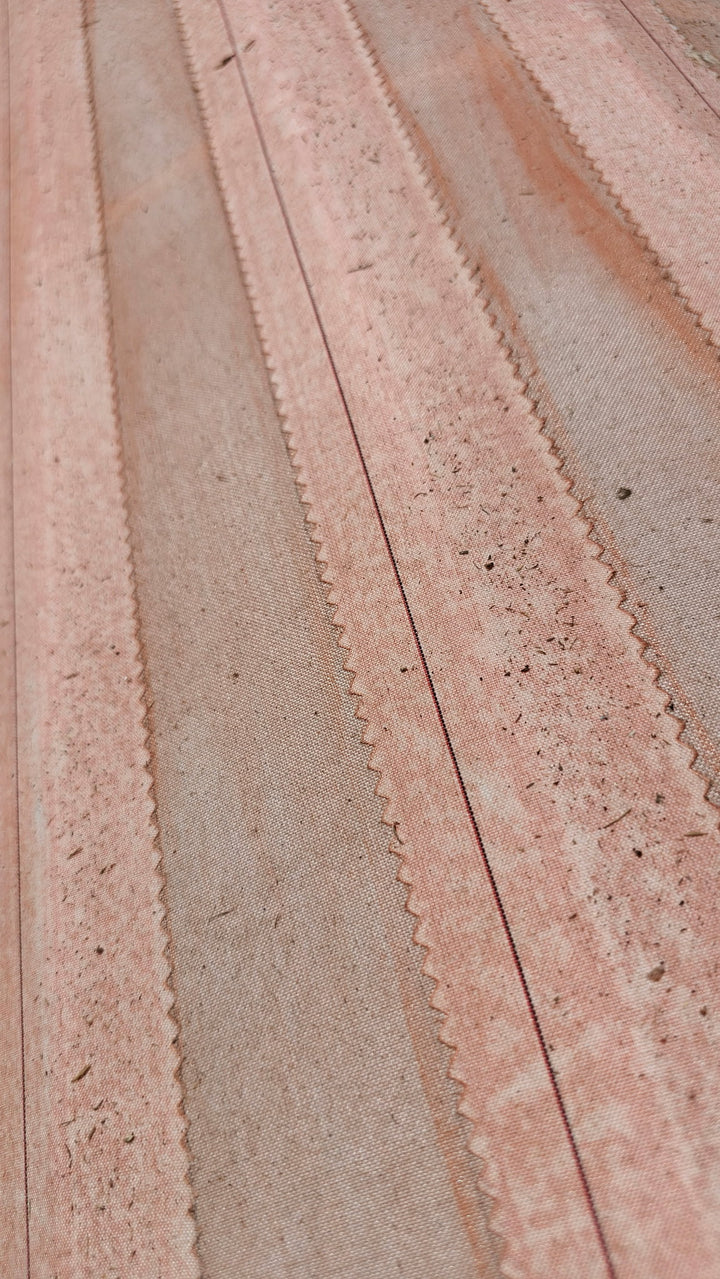 FlyBaby existing fabric covering and surface condition
