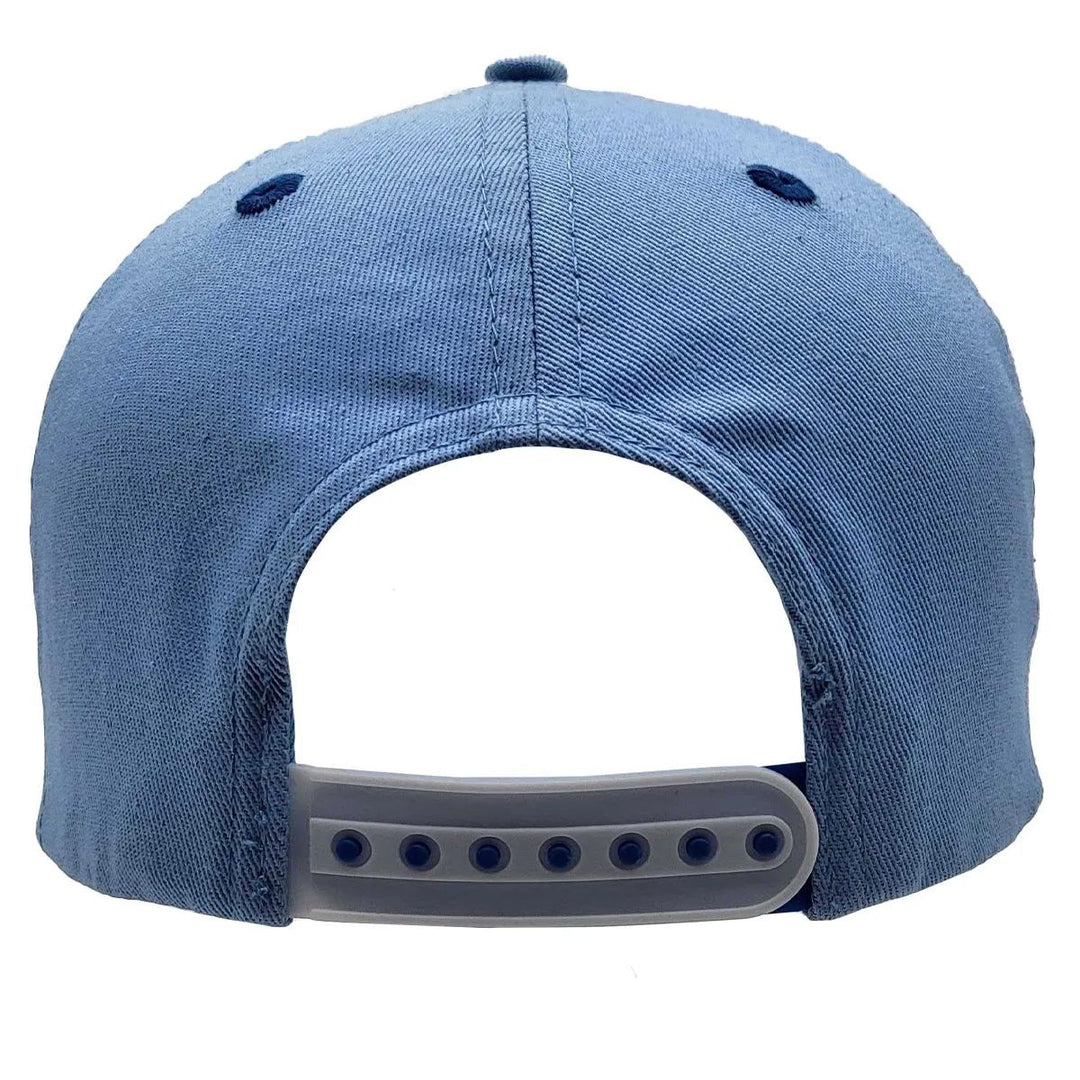 NASA Hat