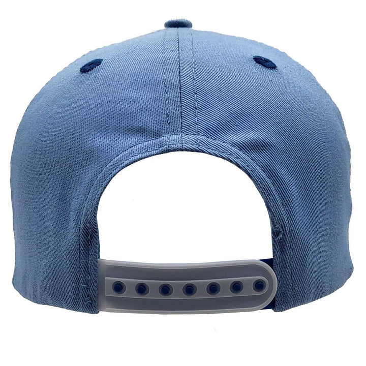 NASA Hat
