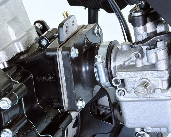 Polini Thor 202 â High-Output, Lightweight 2-Stroke Engine